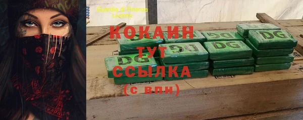 прущие грибы Верхний Тагил