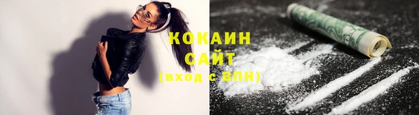 прущие грибы Верхний Тагил