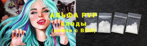 прущие грибы Верхний Тагил