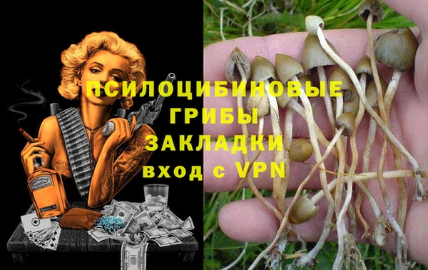 крисы Володарск