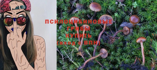 a pvp Верея