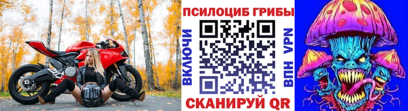 блэк спрут рабочий сайт  Кизилюрт  Псилоцибиновые грибы Psilocybe 